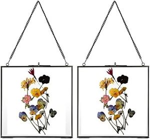 <b>Double</b> Glass <b>Frame</b> for Pressed Flowers, Leaf and Artwork Hanging Picture <b>Frames</b>,Clear Metal Glass <b>Frames</b> with Chain - Product Image 1