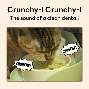 DR.BY CAT CHICA BALL Golosinas dentales diarias sin gluten para gatos Cuidado de la salud bucal Sin colores artificiales Suplementos para el cuidado de la salud de mascotas - Product Image 6