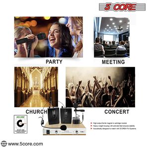 Doppio microfono senza fili portatile WM 301 HC Cordless DJ Karaoke che canta microfono e ricevitore accessori per microfono - Product Image 3