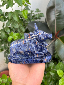 Statue de taureau Nandi en sodalite naturelle sculptée à la main |   Idole hindoue de Shiva en pierre précieuse bleue |   Fournisseur en gros de décorations d'autels spirituels - Product Image 1