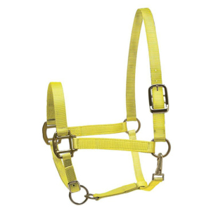 Cabestro para Caballo de Bajo Precio y Gran Comodidad, Transpirable, de Secado Rápido, Fácil de Usar, Tela Vaquera de Primera Calidad, Logotipo Personalizado Hashmi - Product Image 1