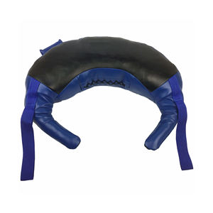 New Arrival Made in Best Quality Bulgarian Power Bags 5KG-25KG Core <b>Strength</b> Fitness Home or Gym <b>Training</b> - Product Image 1