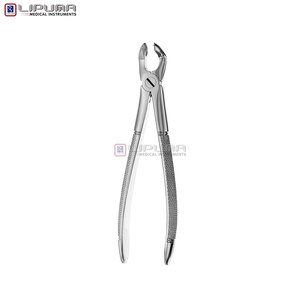 Pinzas de Extracción Tipo Berten PLUS 79 de Calidad Premium, Instrumento Dental de Extracción de Dientes de Acero Inoxidable Alemán de Grado Quirúrgico - Product Image 4