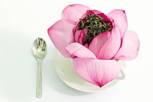 Té de Loto 2026 de Materiales Superiores, Mezcla Refinada para Bebida Relajante y Ceremonia del Té, Aroma Suave, a Granel - Product Image 3