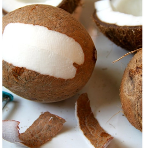 EXPAD Noix de coco séchée molle forme allongée, paquet de 100 kg, durée de conservation 6-12 mois, sucre 0-5%, humidité 0-0,5%, Ho Chi Minh City Drink - Product Image 5