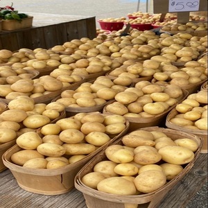 Pommes de terre fraîches biologiques de haute qualité provenant du Pakistan, fournisseur, peau jaune, vente, emballage personnalisé, prix raisonnable, service OEM - Product Image 2