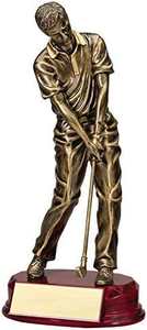 Trofeo de Golf Personalizable de Resina Dorada Antigua de 11 Pulgadas con Figura Masculina, Incluye Personalización - Product Image 3