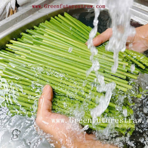 Accessoires de verres à motif rond de haute qualité Pailles d'herbe écologiques Offre Spéciale sur le marché coréen - Product Image 2