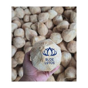 มะพร้าวสดกึ่งปอกเปลือก คุณภาพส่งออก สะอาด ปลอดภัย เหมาะสำหรับเตรียมอาหารและจัดแสดงขายปลีก คัดสรรจากแหล่งมะพร้าวคุณภาพ - Product Image 1
