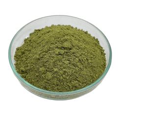 Thai KMP Marque Haute Qualité De Qualité Alimentaire Moringa Feuille Poudre Sauvage Cultivé Extrait De Plantes Essence Thaïlande Tambour quantité minimale de commande 1000kg - Product Image 1