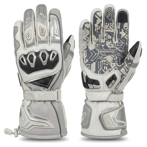 Gants d'hiver pour moto avec doublure chaude, tissu coupe-vent et paumes antidérapantes pour une conduite confortable par temps froid - Product Image 1