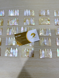 Polished Rectangle <b>Abalone</b> <b>Shell</b> Sheets Natural Mother of Pearl Inlay Material for Home Decoration - CARYLN - Product Image 6