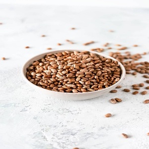 Frijoles Pinto de Excelente Calidad en Venta a Precio de Mayoreo, Ideales para Minoristas de Abarrotes, Restaurantes y Distribuidores - Product Image 1
