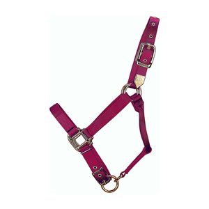 Custom Brand Nylon Horse <b>Halter</b> for Everyday Use High Tensile Strength Adjustable Horse Collar - Product Image 3