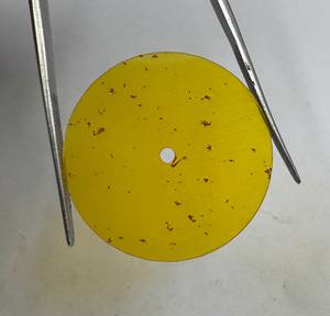 Cadran de montre en ambre de synthèse à coupe plate 29,5 mm, face polie, épaisseur 0,7 mm, trou central de 2 mm, modèle GMC-1899W, accessoires K Gems - Product Image 3