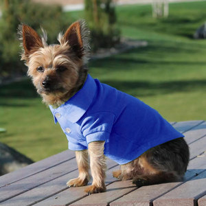 Camiseta Polo para Perro, Clásica, Azul, de Algodón, con Cuello y Botones, Suave y Transpirable, Camiseta para Cachorro, Cómoda para el Verano - Product Image 4
