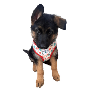 Arnés de Lujo para Perro, Personalizado, Antitirones, Reflectante, Transpirable, Ajustable, Cómodo, Chaleco Táctico de Nailon para Perros - Product Image 1