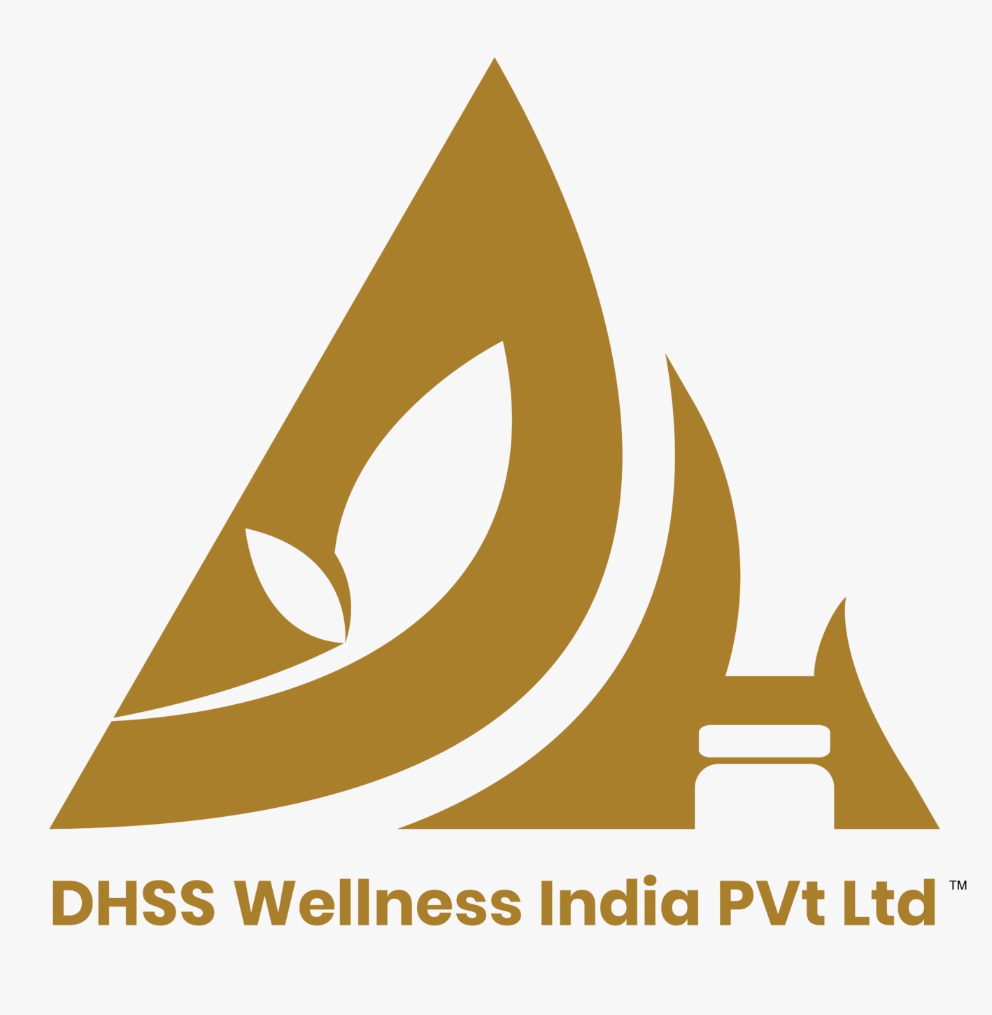 DHSS WELLNESS INDIA PRIVATE LIMITED logo