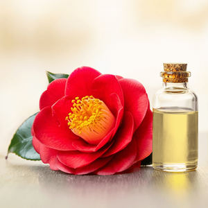 Factory Supply Skin Care Camellia Seed Oil Fragrance Oil Perfume Camellia Oil - Product Image 2