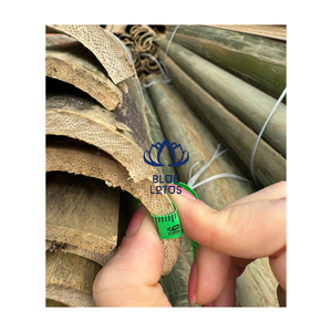 PRECIO IMPERDIBLE: MÁS VENDIDO - MÉS PALAÑAS DE BAMBÚ CON MENOS NÓDULOS Y SUPERFICIE LISA - Product Image 1