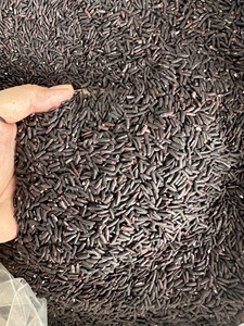 Riz noir collant de nouvelle récolte du Vietnam Tien Giang – Exportateur en gros proposant des grains entiers naturels d'excellente qualité - Product Image 2