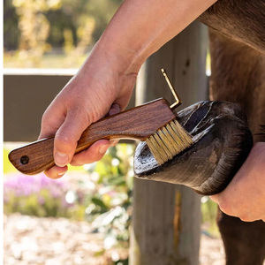 Herramientas de recorte de pezuñas equinas personalizadas, selección de pezuñas definitiva con cepillo, bordes afilados, durabilidad y resistencia, diseño ergonómico - Product Image 6