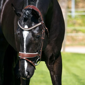 Brida de Caballo de Cuero Genuino Premium con Flecos y Conchos Hechos a Mano, Estilo Inglés y Western, para Equitación - Product Image 6