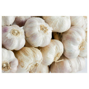 Ail frais de qualité supérieure, qualité d'exportation, approvisionnement en vrac, bulbes d'ail récoltés à la ferme pour les supermarchés et les entreprises de transformation alimentaire - Product Image 2