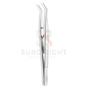 Pinzas de Algodón Anguladas de Acero Inoxidable, Instrumento Quirúrgico Dental, CE ISO 13485 de Blush Surgical - Product Image 3
