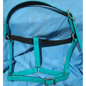 À VENDRE PVC SANGLE CHEVAL AVEC RACCORD ROUILLANT POUR ÉQUITATION ARABE COULEUR BLEU EN DOLLAR 4 CARTE DE CRÉDIT ACCEPTÉE - Product Image 6