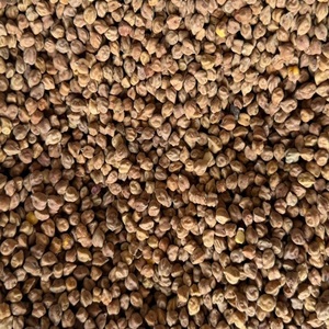 Garbanzos Negros de Primera Calidad (Chickpeas Desi), Alimento Rico en Proteínas Naturales, Legumbres de Grado Alimenticio para Consumo Humano, a Granel, 18 Meses de Duración - Product Image 6