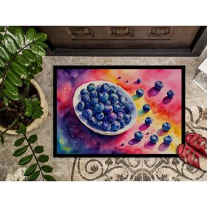Felpudo antideslizante para interiores/exteriores de arándanos coloridos 24H X 36W, felpudo lavable para puerta delantera de pila baja para entrada - Product Image 3