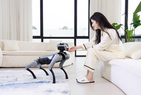 Nouveau robot chien bionique à quatre pattes Magic Atom, compagnon intelligent IA, robotique, contrôle à distance par application 5G, interaction émotionnelle, animal de compagnie robotique
