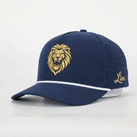 Gorra de Béisbol Deportiva de 5 Paneles con Diseño Personalizado al por Mayor, Gorra de Poliéster con Logotipo Bordado OEM, Gorras con Orificios Cortados con Láser