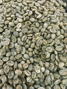 เมล็ดกาแฟเขียวพิเศษเวียดนาม โรบัสต้า S18 ขายส่งโดยตรง ส่งออกได้ รับรองมาตรฐานออร์แกนิก USDA คุณภาพดี ไม่มีตำหนิ TNFOOD เกรด AA+ - Product Image 2