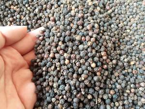 Poivre noir de qualité supérieure, piment de la Jamaïque, origine Vietnam, épice séchée brute AD, 50 kg, certifié HACCP, Phalco JSC - Product Image 3