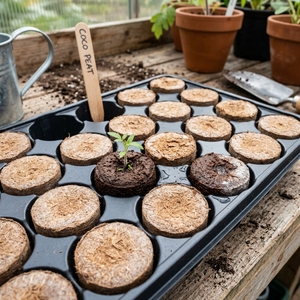 Discos de Turba de Coco Orgánica - Alta Retención de Agua, Ecológicos, para Germinación de Semillas, Uso en Jardinería, Agricultura y Horticultura - Product Image 6