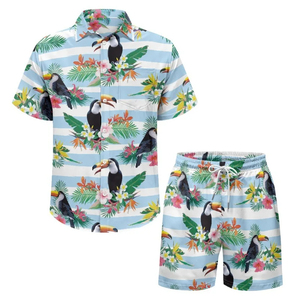 Conjunto de Ropa de Playa, Camisa y Pantalones Cortos Transpirables, Conjunto de Dos Piezas, Atuendo de Verano a la Moda, Estilo Tropical, Conjunto de Playa de Manga Corta - Product Image 5