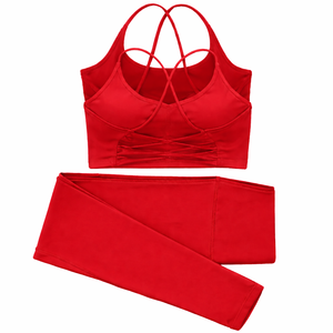 Ensemble de vêtements de sport pour femmes, sans couture, uni, écologique, soutien-gorge de sport, short, extensible dans quatre directions, séchage rapide, OEM, vente en gros, style personnalisé - Product Image 5