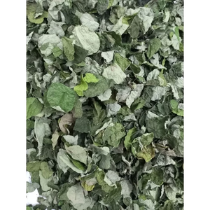 Hojas de Ylang Secas a Precio Económico, Exportador de Vietnam, 100g 500g para Postres y Bebidas - Product Image 3