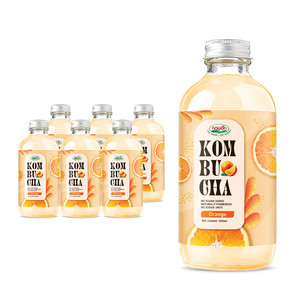 Kombucha Citron Marque Blanche, Boisson Fonctionnelle Prête à Boire, Boisson Saine, Fabricant Partenaire OEM ODM, Gazeuse, Bouteille en Verre 500ml - Product Image 2