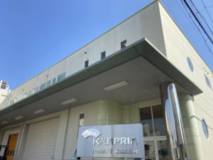 Poudre de jus d'herbe d'orge jeune, qualité alimentaire, prête à l'emploi, stérilisée, approvisionnement en vrac, vente en gros, fabricant, ingrédient, production - Product Image 4