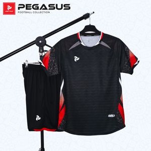 ชุดฟุตบอล OEM ODM แบบกำหนดเอง Pegasus สำหรับเด็ก แห้งเร็ว ระบายอากาศได้ดี ชุดฟุตบอล 100% โพลีเอสเตอร์ สีตัดต่อ สำหรับผู้ชาย ผู้หญิง และเด็ก - Product Image 5