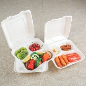 Barquette alimentaire carrée biodégradable à 3 compartiments en bagasse de canne à sucre avec couvercle transparent, compatible micro-ondes, écologique, 2026 - Product Image 1