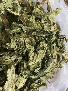 ใบมะละกอแห้งเกรดพรีเมียม คุณภาพดีเยี่ยม สะอาด ปลอดภัย เหมาะสำหรับทำชาและสมุนไพร ช่วยเพิ่มรสชาติ - Product Image 3