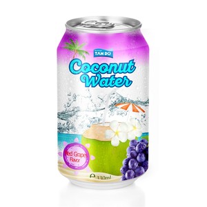 Tan Do 250ml Lata de Aluminio Agua de Coco 100% Sin Azúcar Concentrado de Jugo con Sabor a Fruta Tropical 18 Meses de Duración - Product Image 1