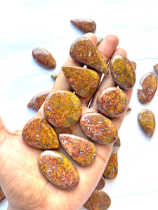 Venta al por Mayor de Preciosos Cabujones de Ágata de Raíz de Palma 100% Naturales, Piedras Preciosas Sueltas de Primera Calidad para la Fabricación de Joyas - Product Image 4