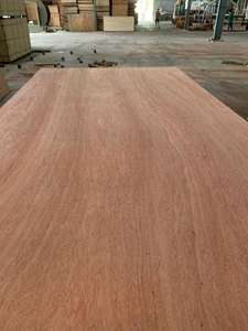 Bintangor/Okume/Pine 4x8 Muebles Contrachapado Diseño Moderno Estilo Precio - Product Image 3