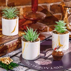 Set di 4 Piante Succulente Artificiali Verdi per Decorazione Casa e Accessori da Scrivania per Donne - Product Image 2