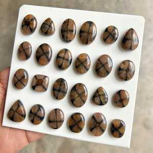 หินไคแอสโตไลต์ธรรมชาติ |   คริสตัลรูปไข่ทรงไขว้ |   พลอยไคแอสโตไลต์ทรงหลังเบี้ยขัดเงา เปลี่ยนสีได้ |   การป้องกันด้วยสายดิน - Product Image 2